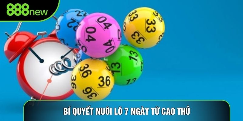 Bí quyết nuôi lô 7 ngày từ cao thủ