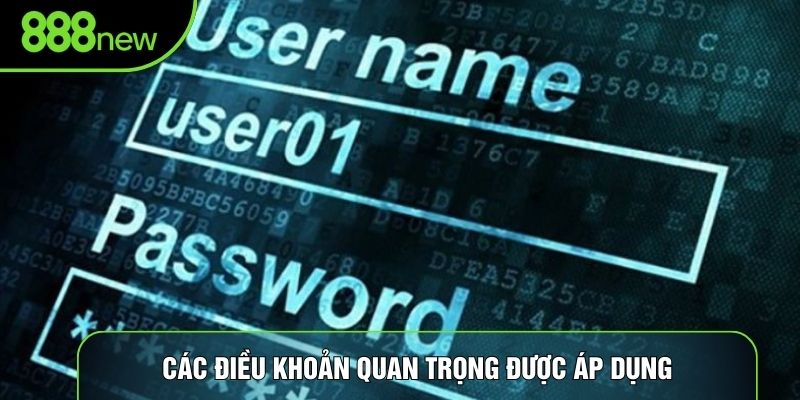 Các điều khoản quan trọng được áp dụng