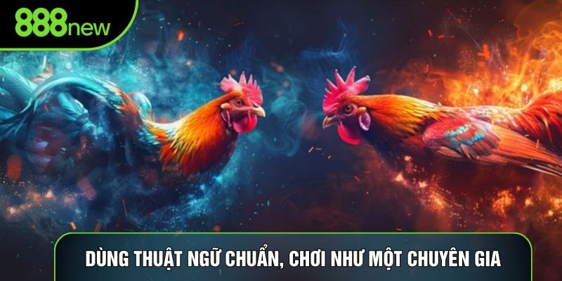 Dùng thuật ngữ chuẩn, chơi như một chuyên gia