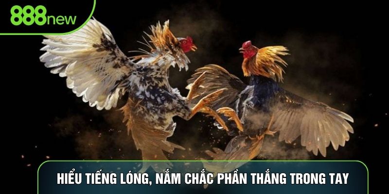 Hiểu tiếng lóng, nắm chắc phần thắng trong tay