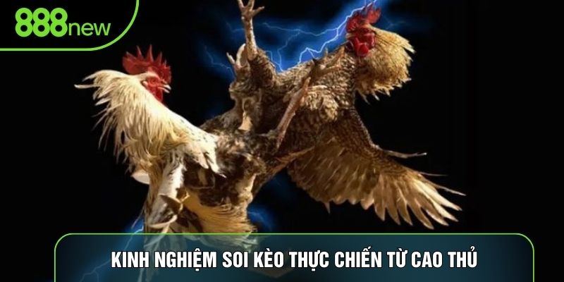Kinh nghiệm soi kèo thực chiến từ cao thủ