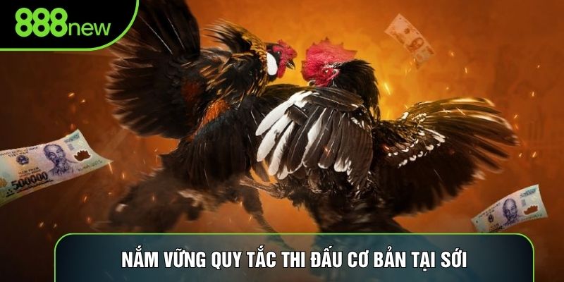 Nắm vững quy tắc thi đấu cơ bản tại sới