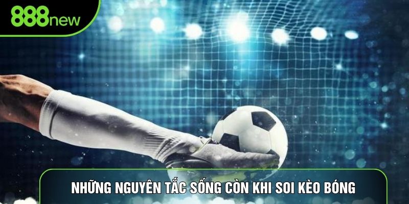Những nguyên tắc sống còn khi soi kèo bóng